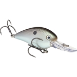 Green Gizzard Shad