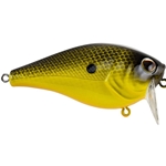 Black/Chartreuse
