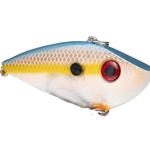 Sunrise Sexy Shad