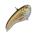 Natural Golden Shiner