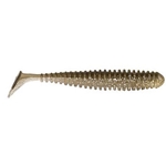 Tennesee Shad