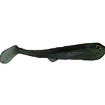 Fork Shad