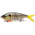 Bluegill Spawn