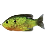 Florescent Pumpkinseed