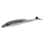 Smokin Shad