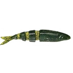 Watermelon Seed