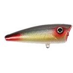 Bream