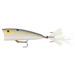 Foxy Shad