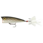 Tennessee Shad