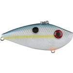 Sexy Shad