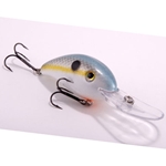 Sexy Shad