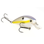 Chartreuse Shad