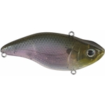 Spooky Shad