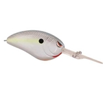 Nasty Shad