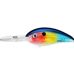 Dance's Threadfin Shad