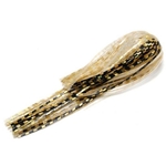 Gold Shiner