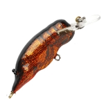 Copper Crayfish