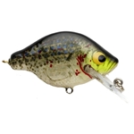 White Crappie