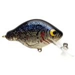 Black Crappie