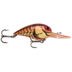 Naturistic Brown Crayfish