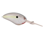 Nasty Shad