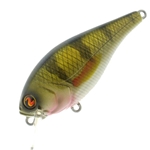 Real Perch