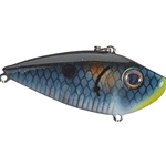Bleu Shad