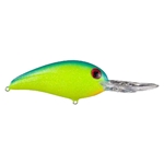 Chartreuse/Blue