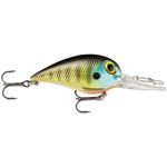 Bluegill