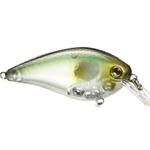 Clearwater Minnow