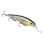 Strike King KVD Slash Bait Jerkbait