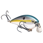 Strike King KVD 1.5 Shallow Runner