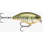 Rapala OG Rocco 5 Crankbait