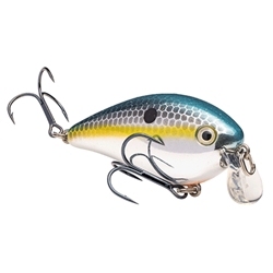 Strike King KVD 1.5 Shallow Runner