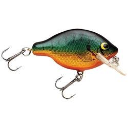 Bagley Small Fry 1