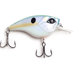 Googan Squad Flat Banger Crankbait