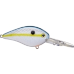 Sexy Shad