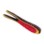 Black/Yellow Stripe/Red Belly
