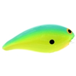 Chartreuse/Blue
