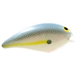 SX Shad Gelcote