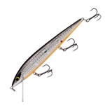Chrome Black Back/Orange Belly