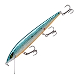 Chrome Blue Back/Orange Belly
