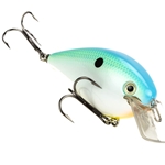 Citrus Shad