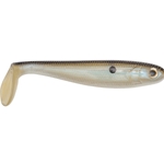 Blue Gizzard