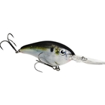 Natural Shad