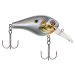 Sexier Shad