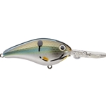 Reel Shad