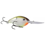Turtle Shad