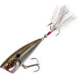 Arkansas Shiner