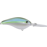 Sexy Green Shad